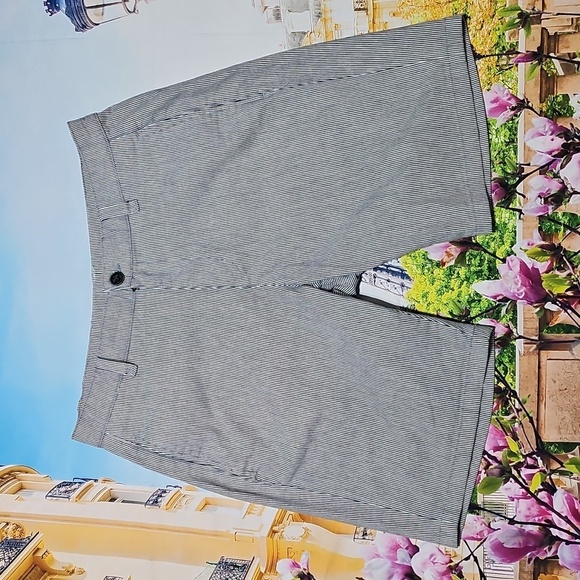 34 Heritage Other - 34 Heritage Pinstripe‎ Shorts Size 34